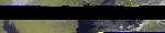 No data to show