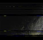No data to show
