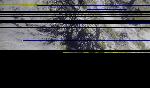 No data to show