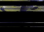 No data to show