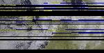 No data to show