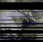 No data to show