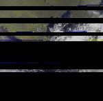 No data to show