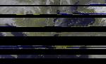 No data to show