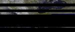No data to show