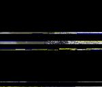 No data to show