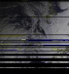 No data to show