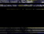 No data to show