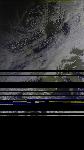No data to show