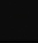 No data to show