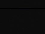 No data to show