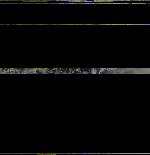 No data to show