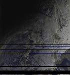 No data to show