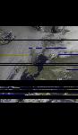 No data to show