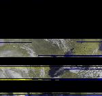 No data to show