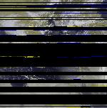 No data to show