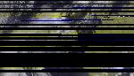 No data to show