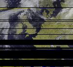 No data to show
