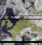 No data to show