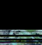 No data to show