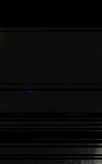 No data to show