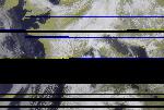No data to show