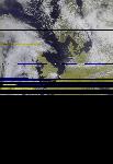 No data to show