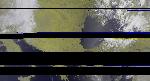 No data to show