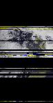 No data to show