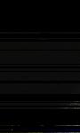 No data to show