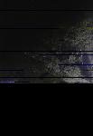 No data to show