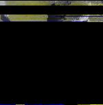 No data to show