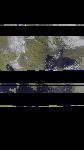 No data to show