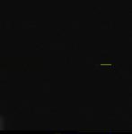 No data to show